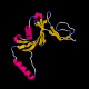 autoSHARP_02.png