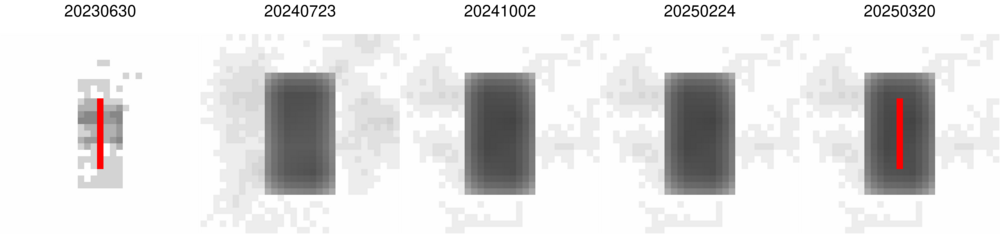 masked_montage_1-0_BKGINIT_1250-250_wide.png