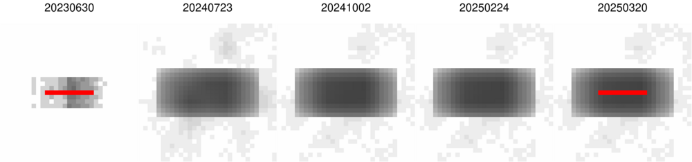 masked_montage_1-0_BKGINIT_500-750_wide.png