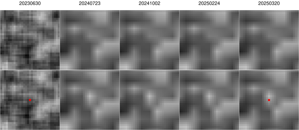masked_montage_BKGINIT_500-250_wide.png