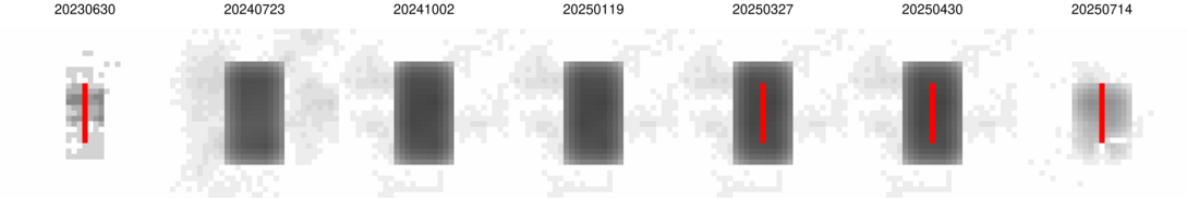 montage_1-0_BKGINIT_1250-250_wide.png
