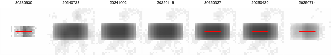 montage_1-0_BKGINIT_500-750_wide.png