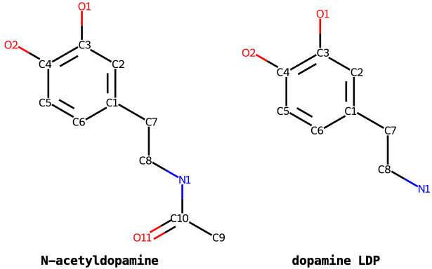 N-acetyldopamine using dopamine as an antecedent