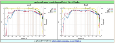 import_0002_2025-02-25_11-03-46_crop.png