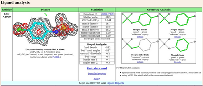 import_0005_2025-02-25_11-04-11_crop.png