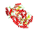 autoSHARP_SAD-MR_deposited_pymol.png